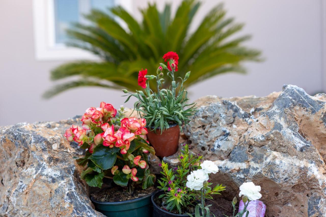 Nightingale Villa & Suites Corfu Gazatika Bagian luar foto